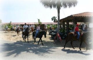  Promenades à cheval en groupe 